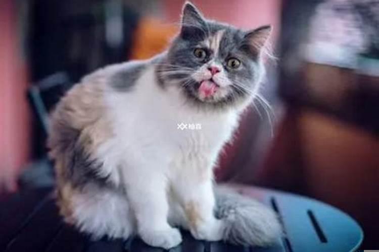 梦见自己的财产