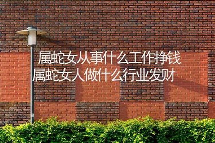 属蛇女人做什么行业发财