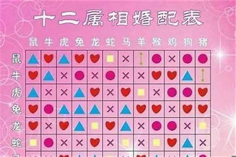 婚配先看五行还是生肖