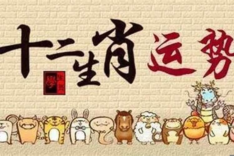 12月12日生肖运势