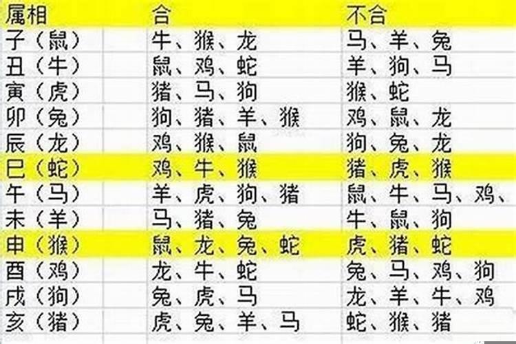 又懒又馋的生肖是什么肖