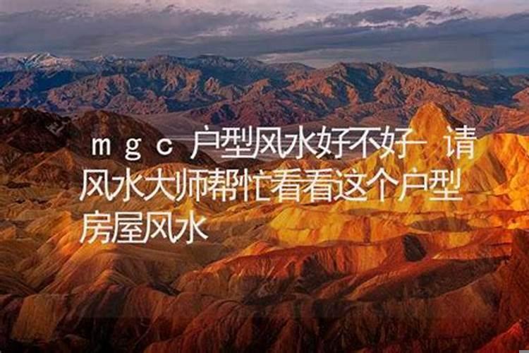 请风水大师帮忙取名好吗