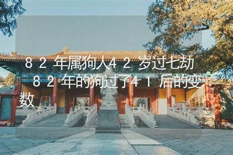 82年属狗人过了42岁