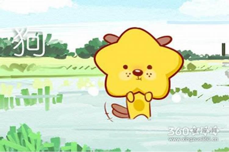 1994年属狗适合戴什么