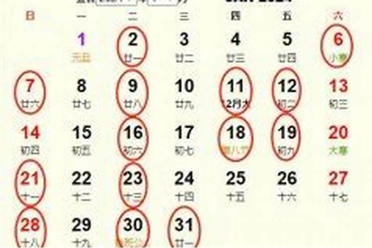 属羊2025年适合结婚吗