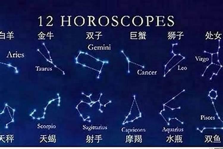 哪个星座最聪明最孝顺的排名