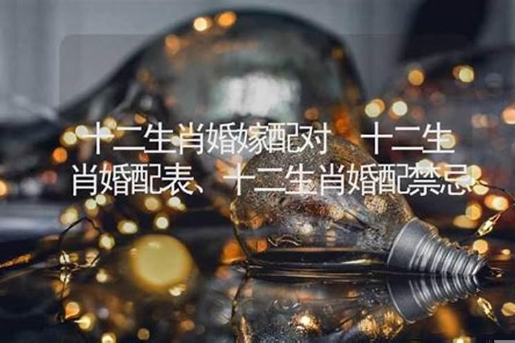 十二生肖婚配表、十二生肖婚配禁忌