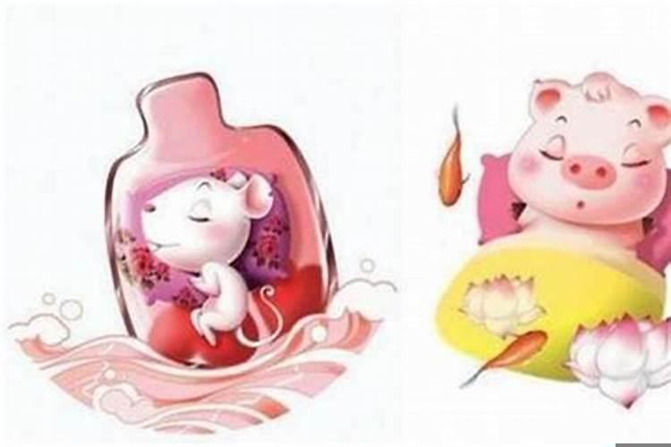 戊寅日柱出生人命运大揭密