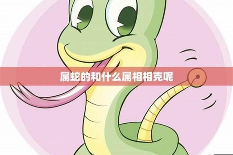 属蛇人一辈子的克星是什么属相