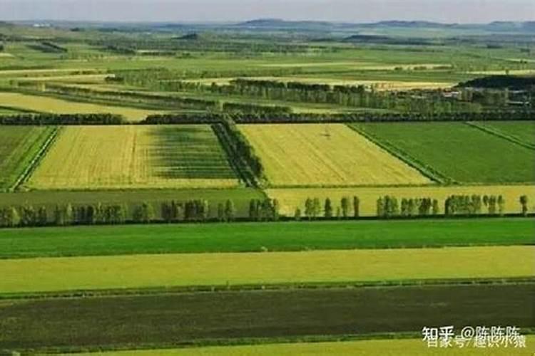 世界上最好的耕地平原