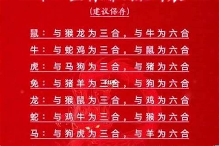 属鼠的不宜和什么相配