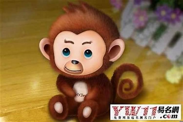 男的属猴和什么最配