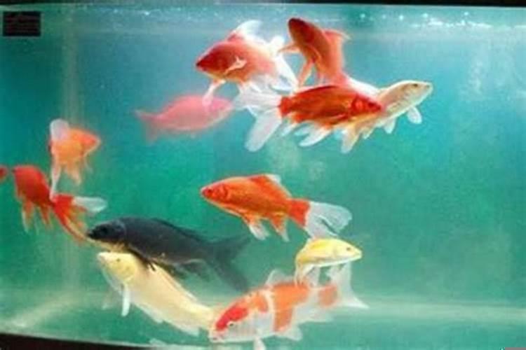 玄空风水与金锁玉关