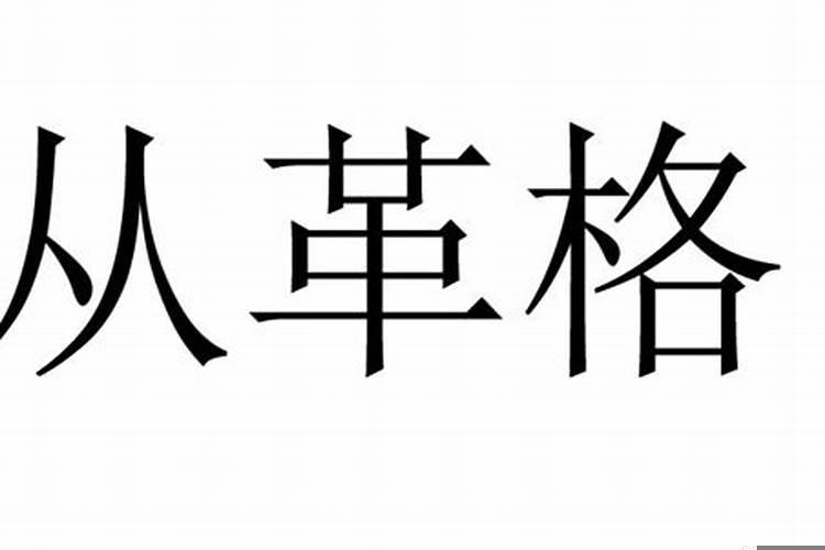 从格是什么